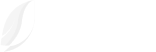 Raven Digital logo